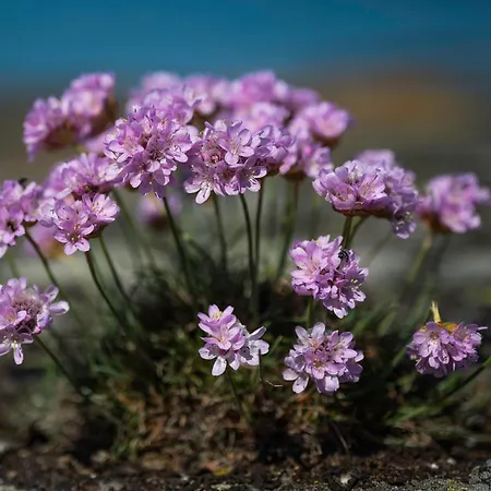 Beautiful Log House At The World's End, Tjome וילה